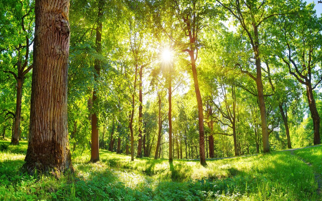 Conservation Twists