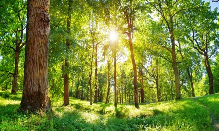 Conservation Twists