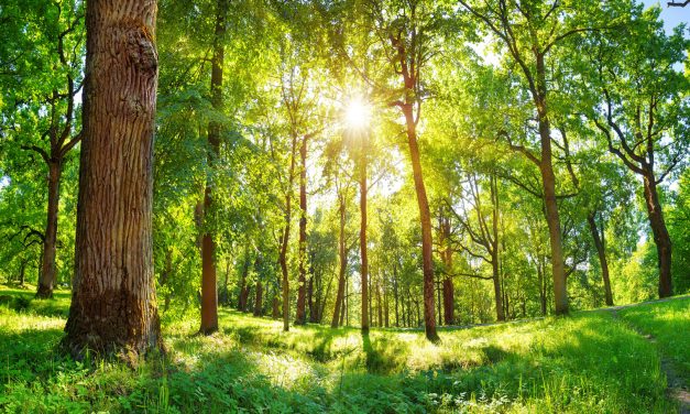 Conservation Twists