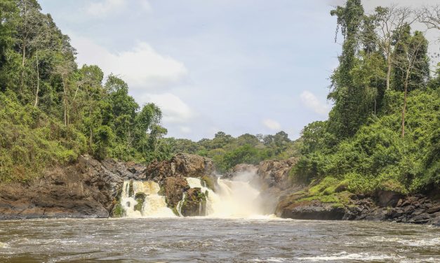 The Earth We Share: Why Environmental Justice Matters