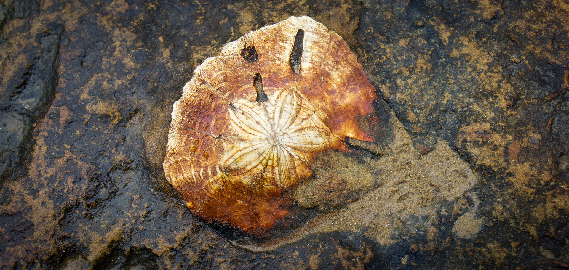 AdobeStock