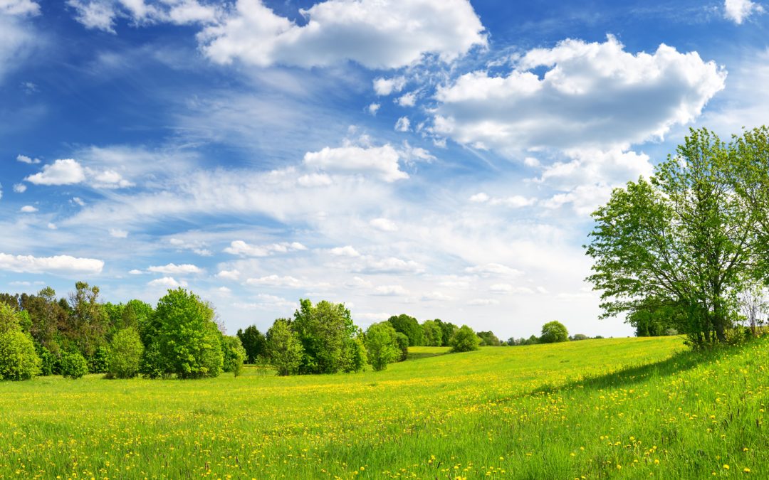 Clean Air Matters