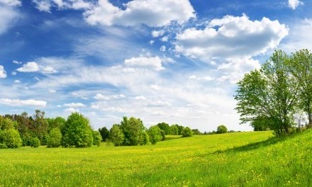 Clean Air Matters