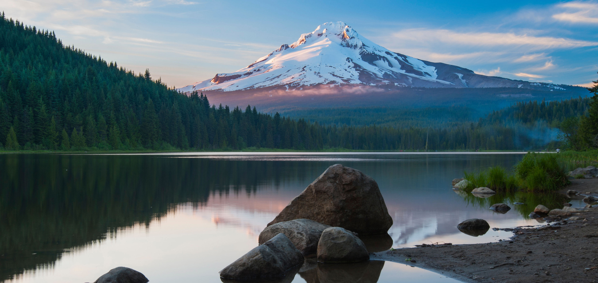 AdobeStock