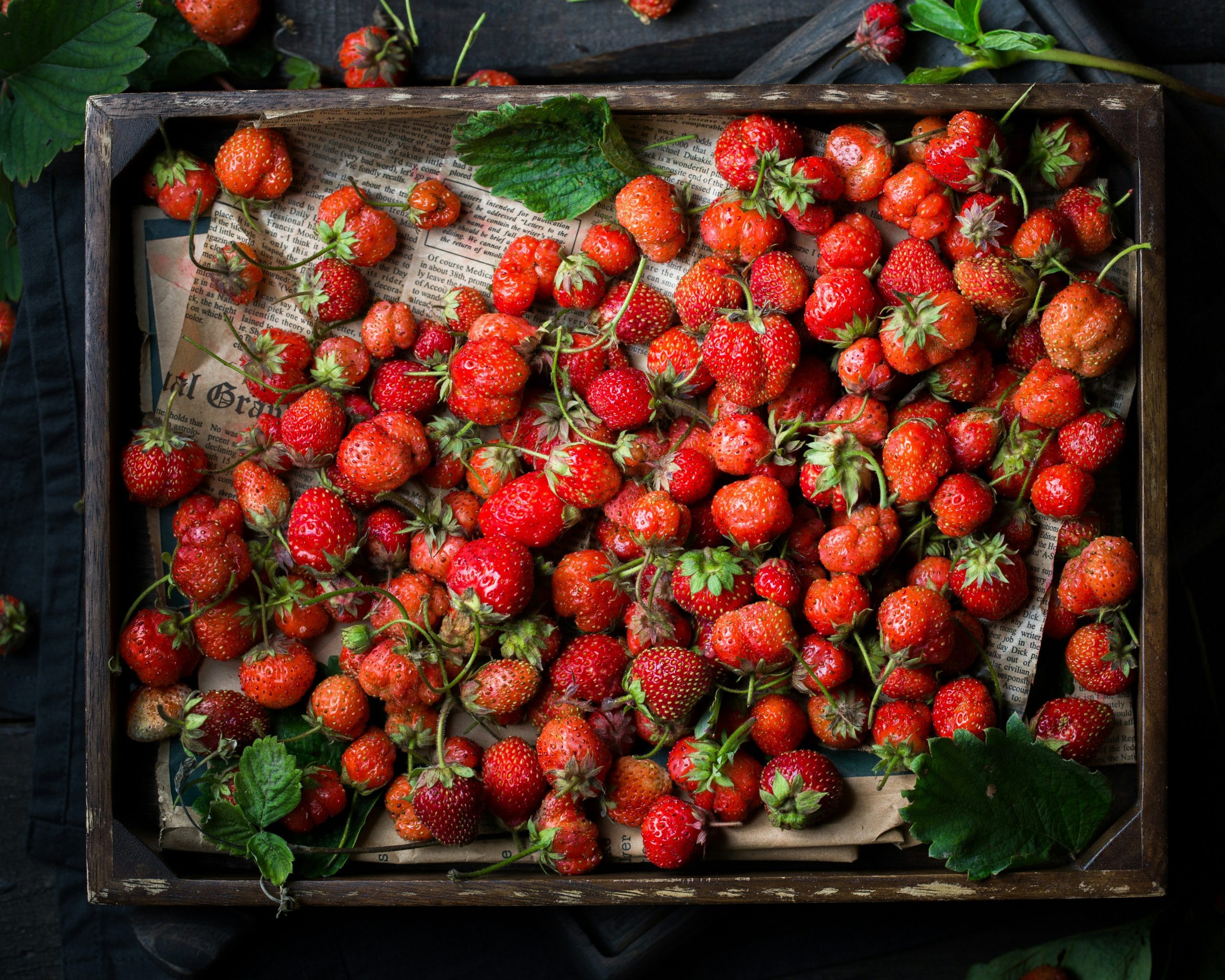 Strawberries in Italy